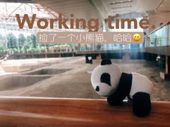 -金沙遗址博物馆