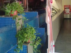 -涿派·炝锅鱼(涿州店)