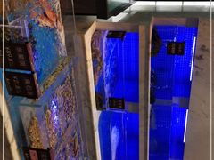 -箸福·夜上海(雨花客厅店)