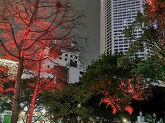 -华厦大酒店·桃源西餐厅·自助餐