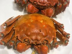 -王宝和酒家(黄浦店)