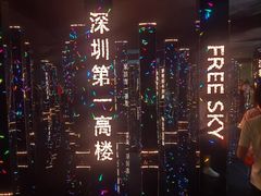 -平安金融中心云际观光层