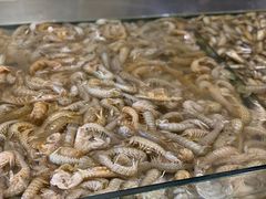 -孙家码头海鲜自助美食城