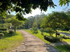 -广西壮族自治区药用植物园
