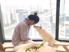 -柴犬小屋·柴餐厅·狗咖食堂(金鼎广场店)