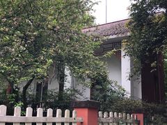 -南山植物园