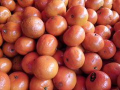 -红星农博物流中心