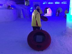 -世界之窗阿尔卑斯冰雪世界