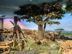 -国家自然博物馆