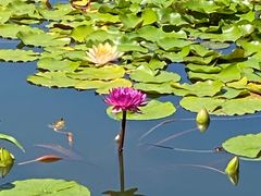 -国家植物园南园