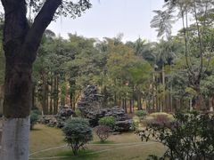 -滴水岩森林公园
