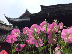 -乐山大佛风景名胜区乌尤寺南门-售票点