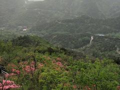 -木兰云雾山