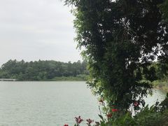 -南国桃园旅游度假区