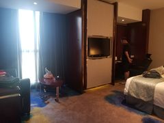 -常州环球恐龙城维景国际大酒店