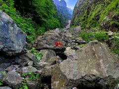 -九峰山