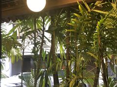 -地理学家咖啡馆