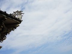 -海天堂构