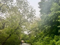 -北陵公园