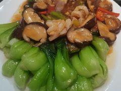 香菇油菜扒虾仁-回香楼大连新派清真菜