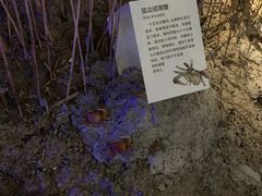 -上海长江河口科技馆