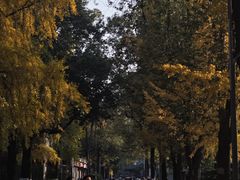 -四川大学(华西校区)