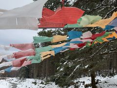 -硗碛藏寨·神木垒景区