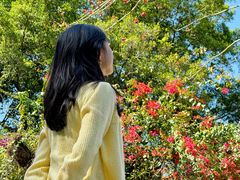 -火炉山森林公园