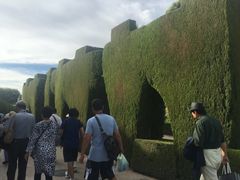 -阿尔罕布拉宫