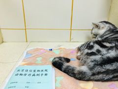 -北京佳信宠物医院
