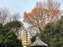 -灵谷景区