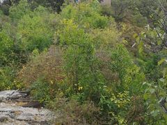 -蟠龙山长城景区