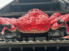 -蟹料理 北海道かに将軍(札幌本店)