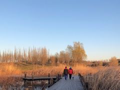 -马家湾湿地公园