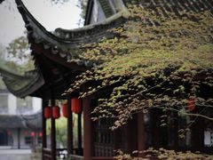 -上海醉白池公园