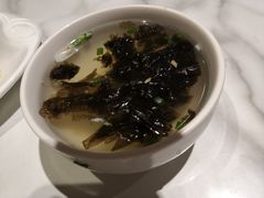 -MR鹅外