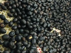 -Torch Coffee 炬点咖啡