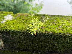 -三国赤壁古战场