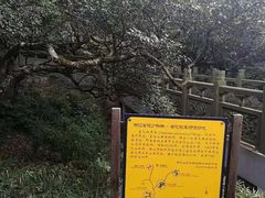 -普陀山慧济禅寺