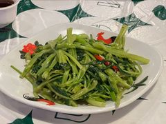 -劲揪jiu大排档·老广风味(陈家祠店)