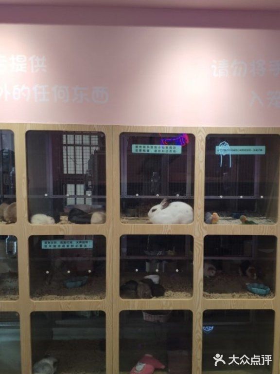带宝宝体验萌宠互动，88元，人气非常棒