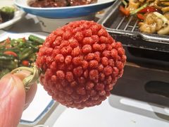 -椿记烧鹅(叠彩店)