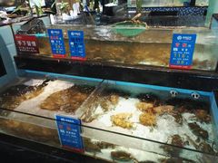 -尚海豆捞(乐虹坊店)