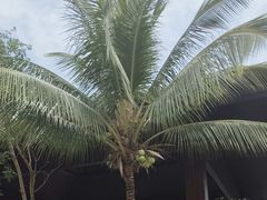 -亚马逊丛林水乐园
