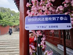 -泰山风景名胜区