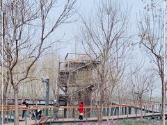 -东郊湿地公园