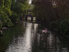 -济南大明湖景区