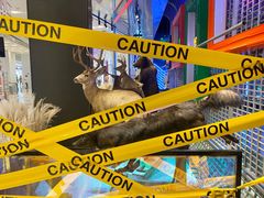 -凯德广场(武胜路店)