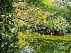 -人民公园(罗湖区)