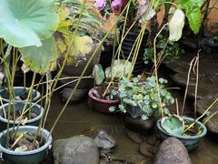 -园林美食城·本土农家菜(杨和镇店)